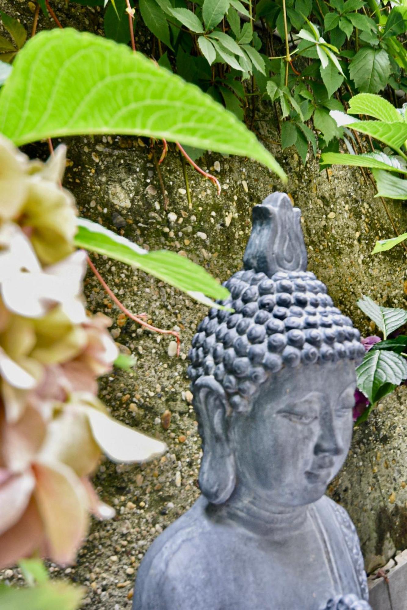 Buda Bliss Garden Budapest Exterior photo
